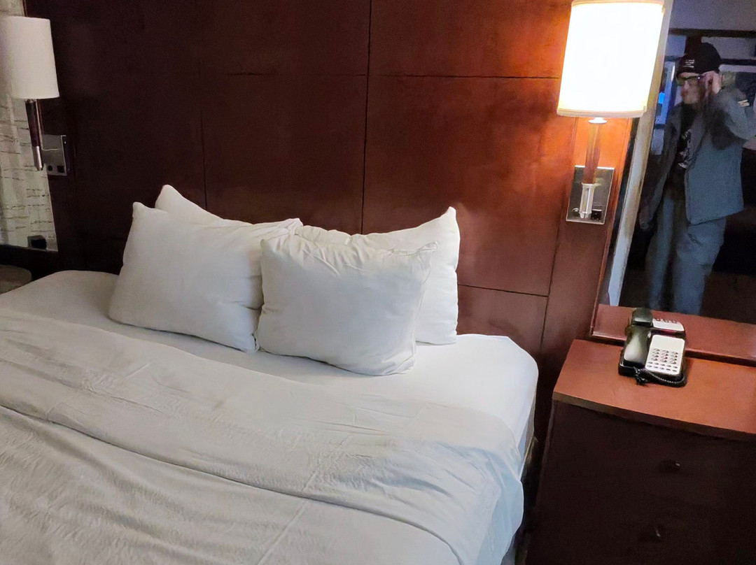 奥本原住客栈主图