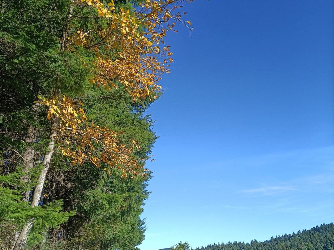 Passo della Consuma-Consuma必去景点