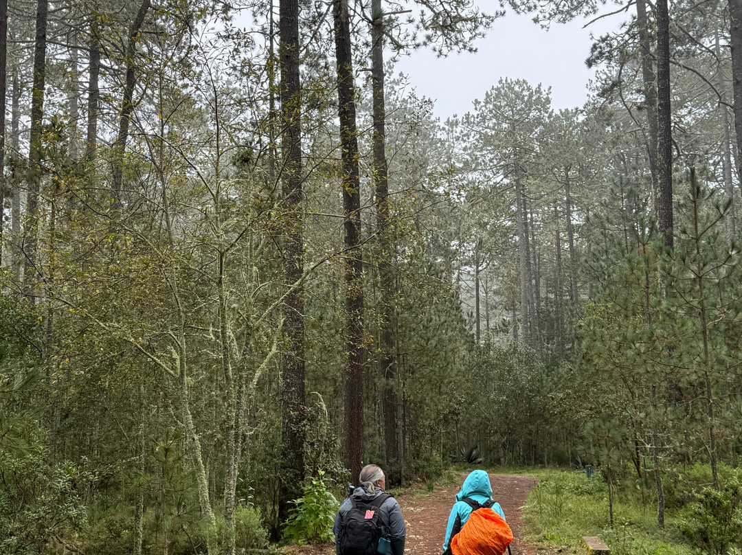 Pueblos Mancomunados-瓦哈卡必去景点