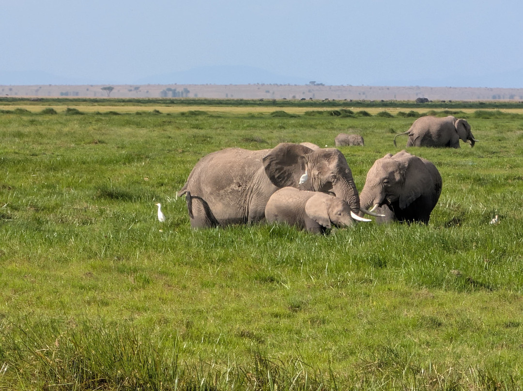 Bienvenido Kenya Tours and Safaris-山祖必去景点