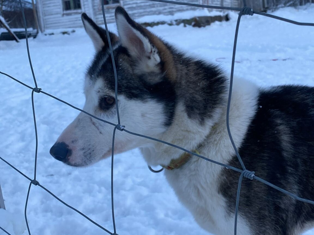 Nordland Adventures-博多必去景点