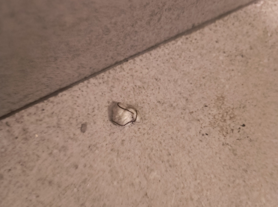 Fiesta Inn Express Hermosillo主图