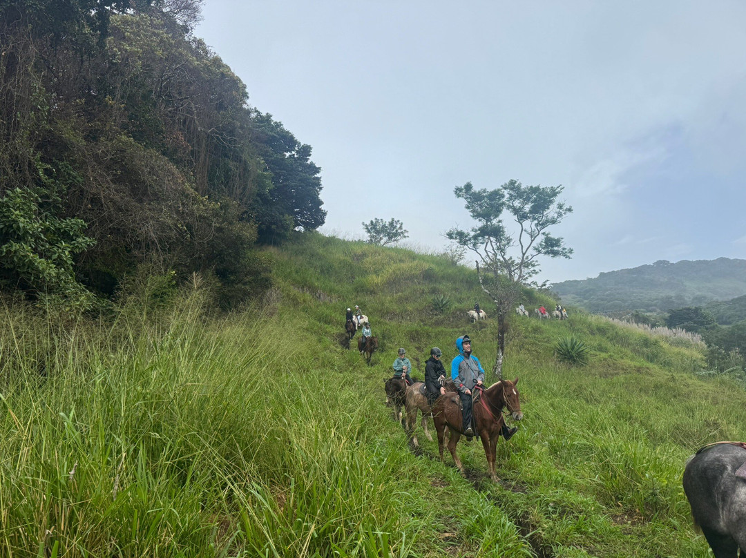 Equus Monteverde-Alto Cebadilla必去景点