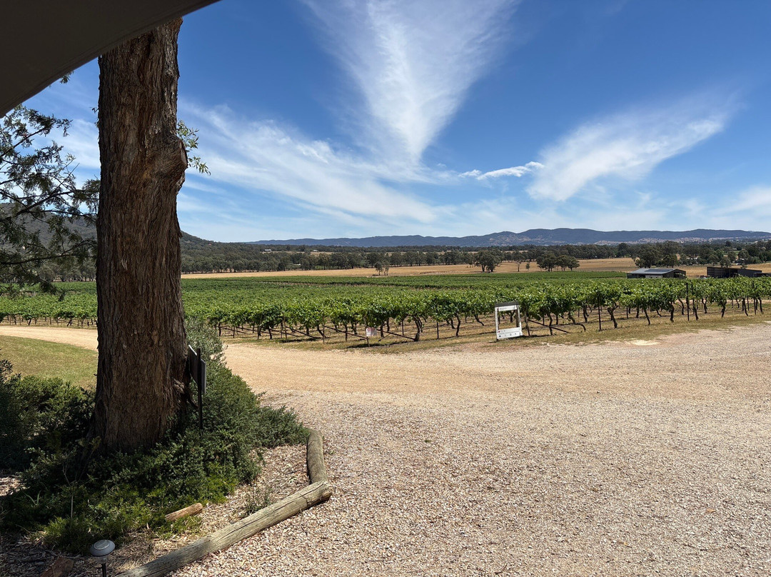 Robert Stein Winery, Vineyard & Farm-Budgee Budgee必去景点