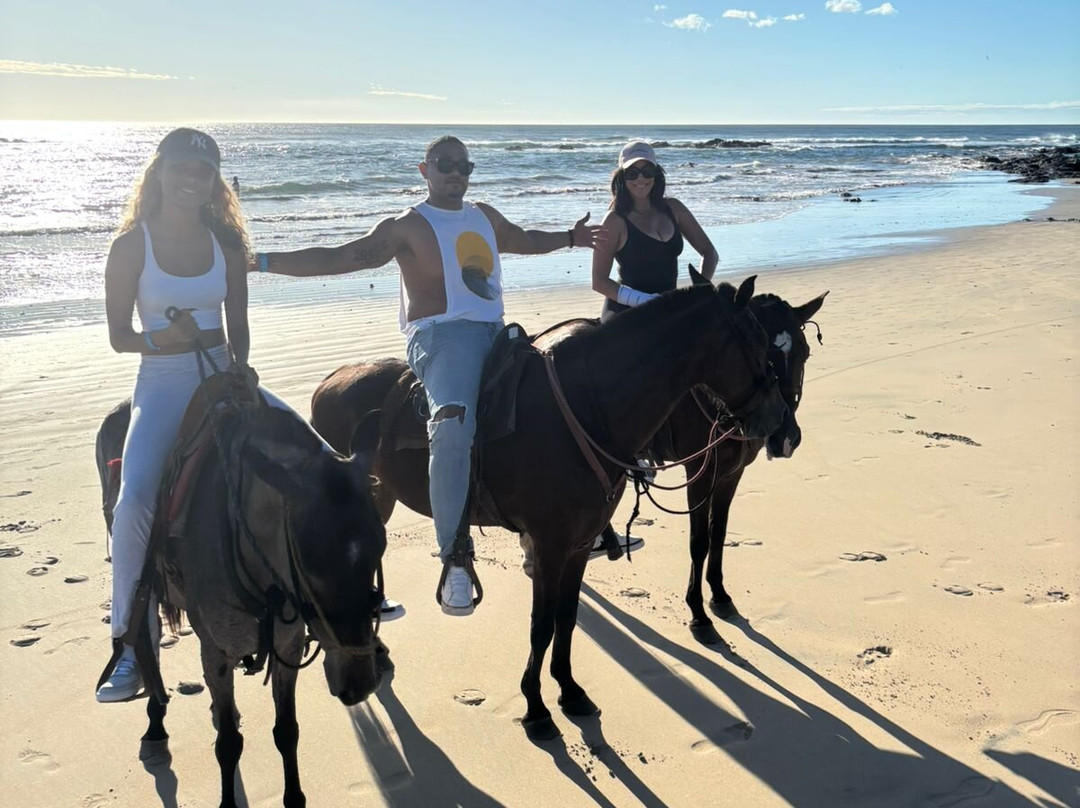 Guti Tours-Playa Avellanas必去景点