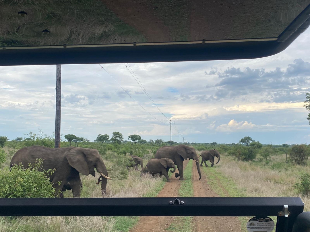 Royal Safaris-库马堤港必去景点