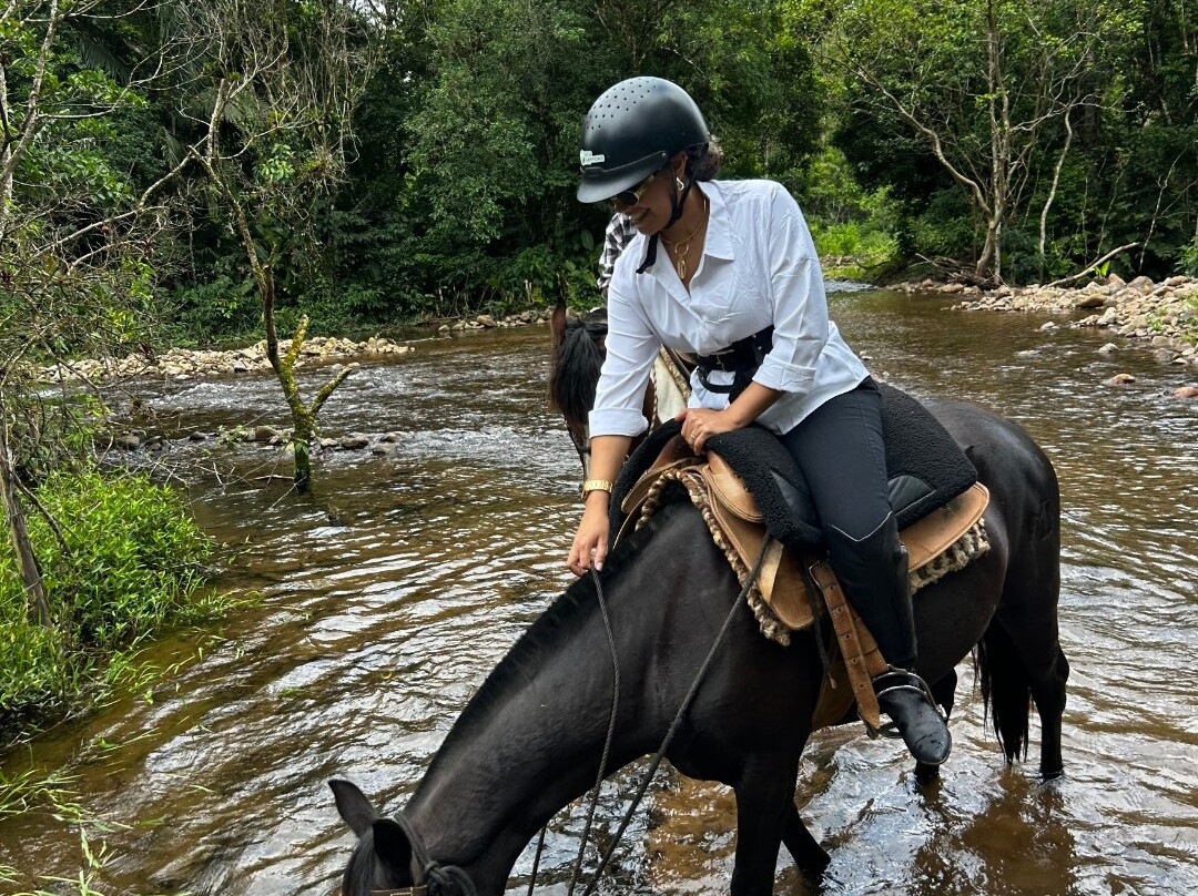 Eco Canyons-Praia Grande必去景点