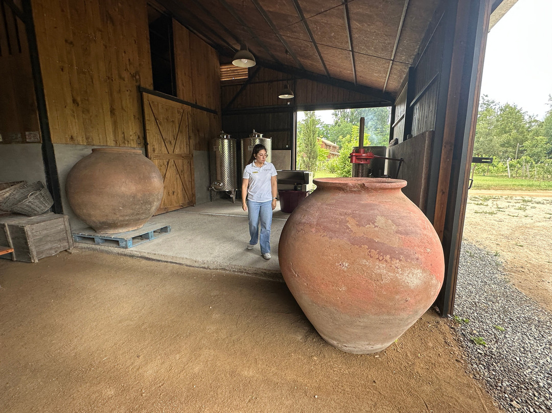 Campo La Quirinca-Isla de Maipo必去景点