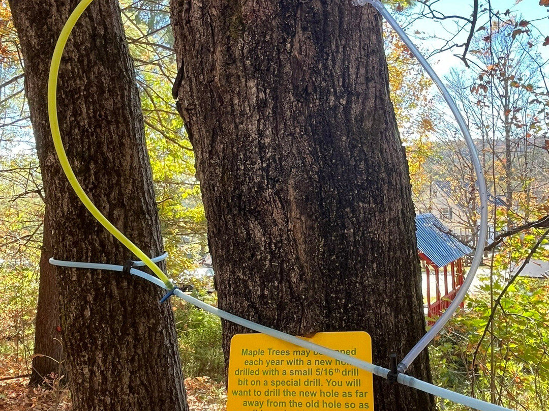 Sugarbush Farm-伍德斯托克必去景点