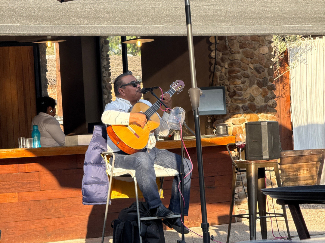 Viñedos San Lucas主图