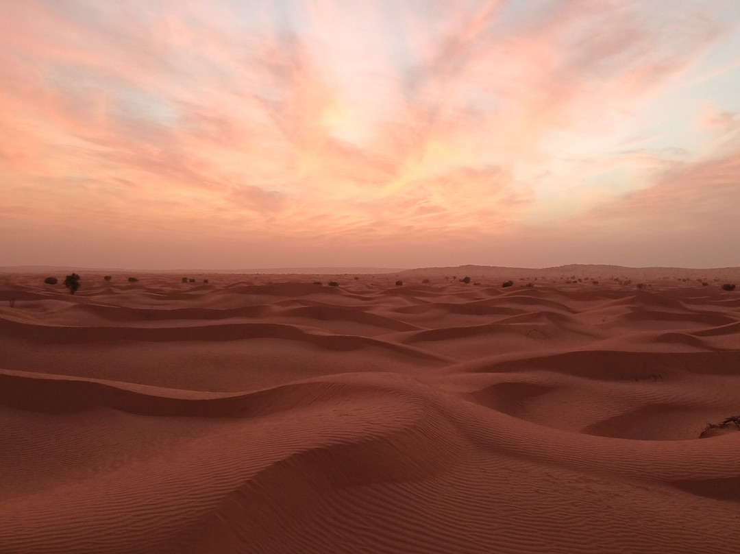 Caravane Du Sahara-Ghlissia必去景点