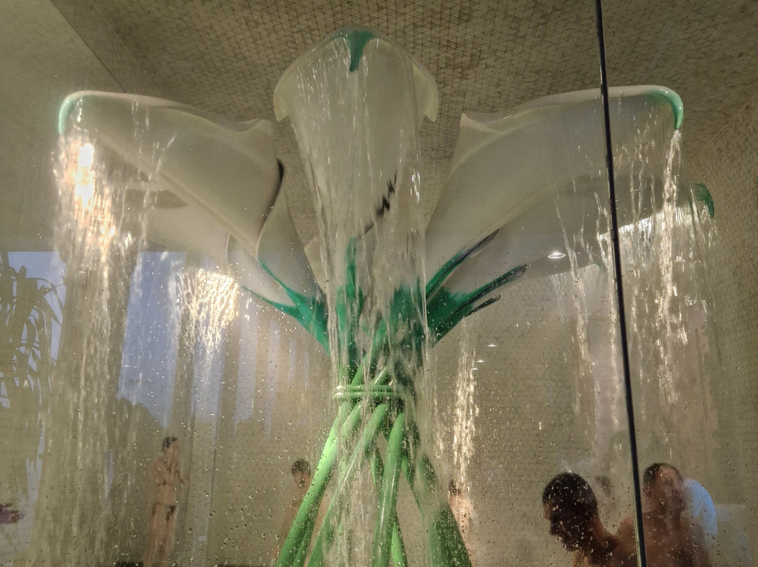 Therme Bucuresti-Balotesti必去景点