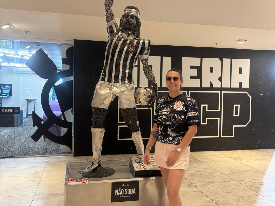 Arena Corinthians - Neo Química Arena-圣保罗必去景点