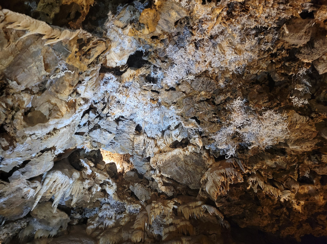 Black Chasm Cavern-Pine Grove必去景点
