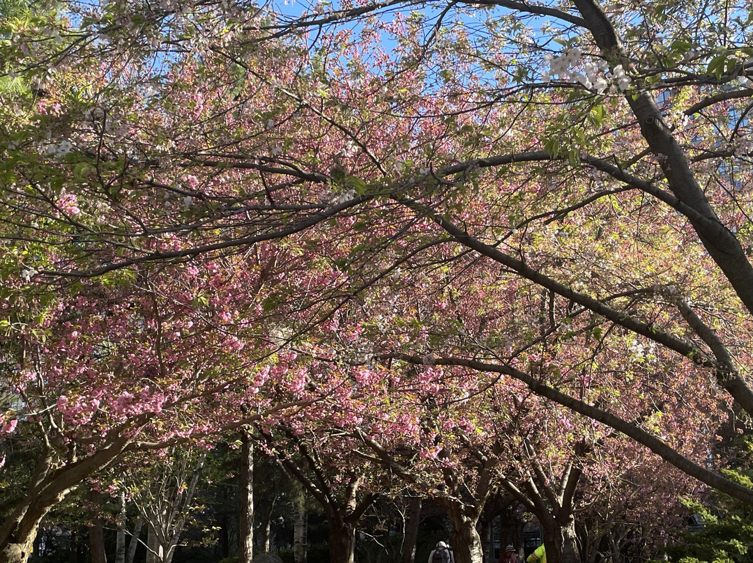 Kariya Park-米西索加必去景点