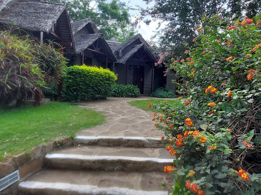 Predators Safari Club-阿鲁沙必去景点