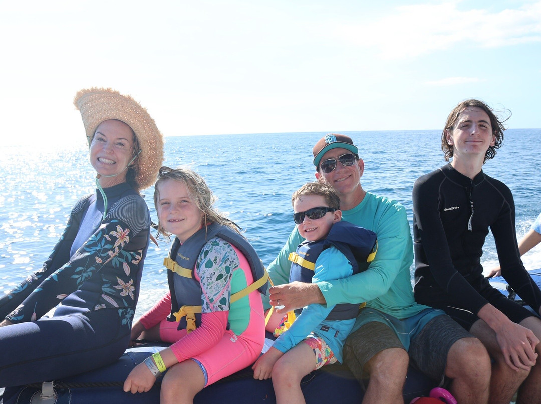 Iruka Hawaii Dolphin-火奴鲁鲁必去景点