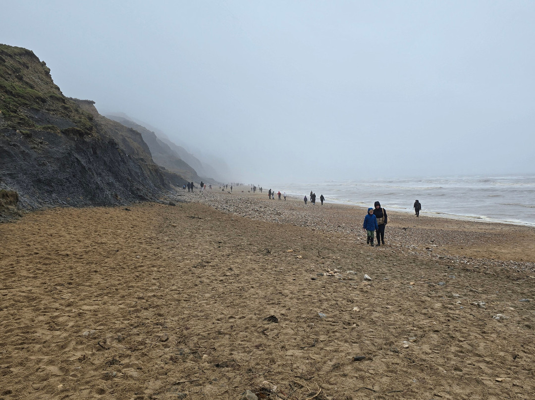 Charmouth Beach-Charmouth必去景点