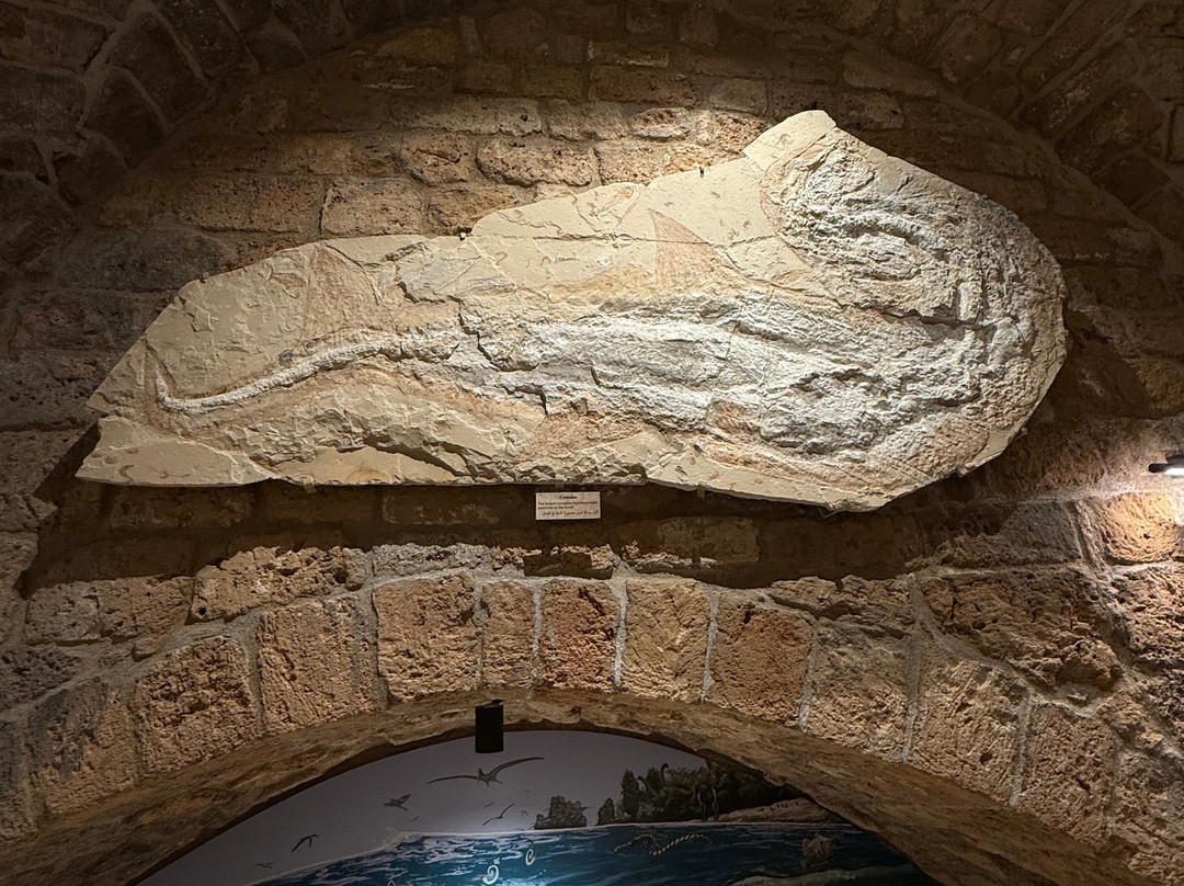 Memory of Time-朱拜勒必去景点