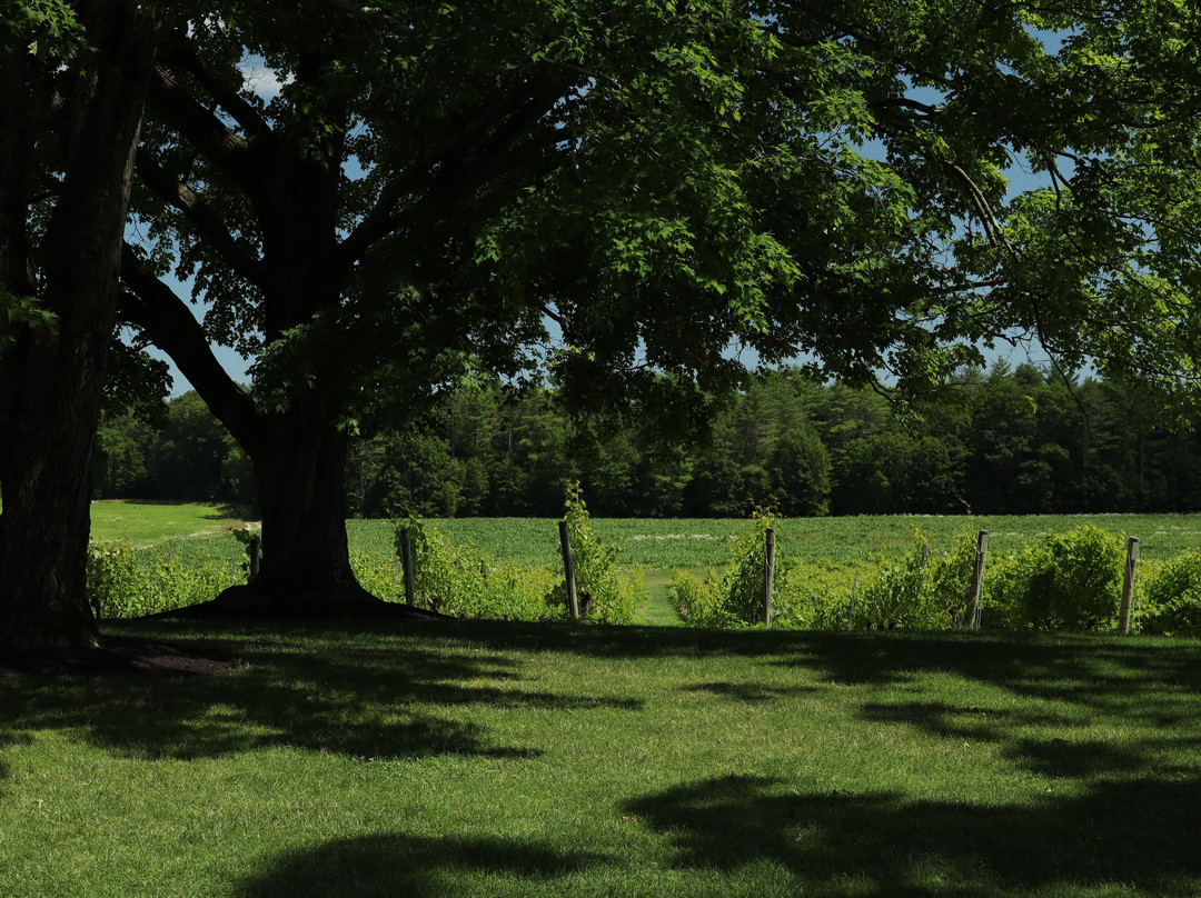 Flag Hill Distillery & Winery-Lee必去景点