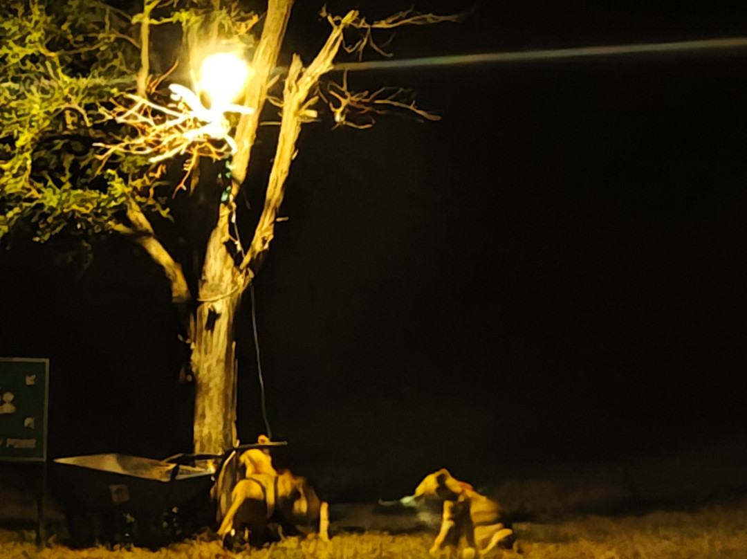 OSOTUA TENTED CAMPS-Ikoma必去景点