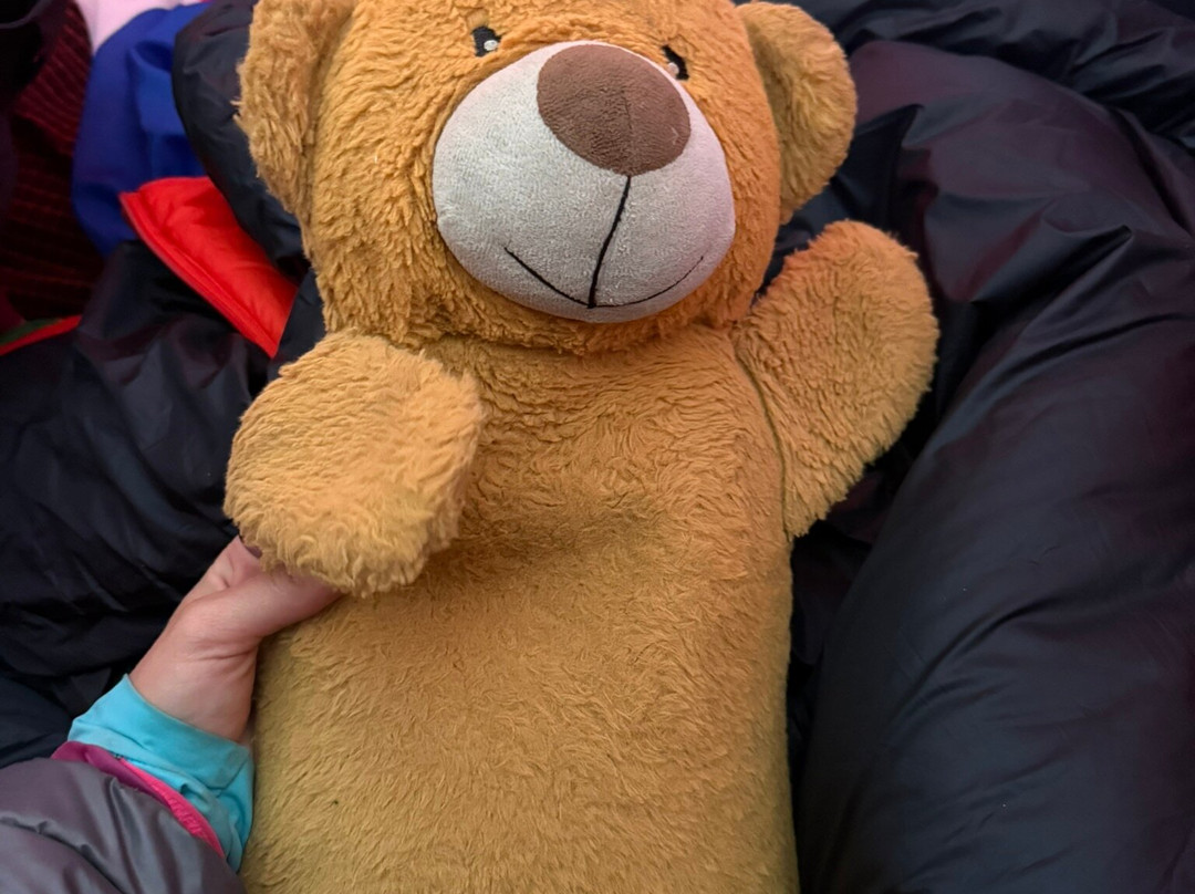 Dotcom Safaris Ltd-莫西必去景点