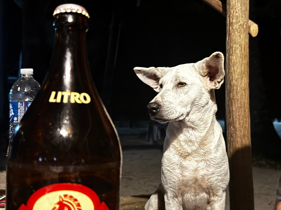 Balabac Tour By The Wanderwalkers-巴拉巴克必去景点