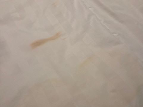 诺丁汉北部普瑞米尔酒店-戴布鲁克主图