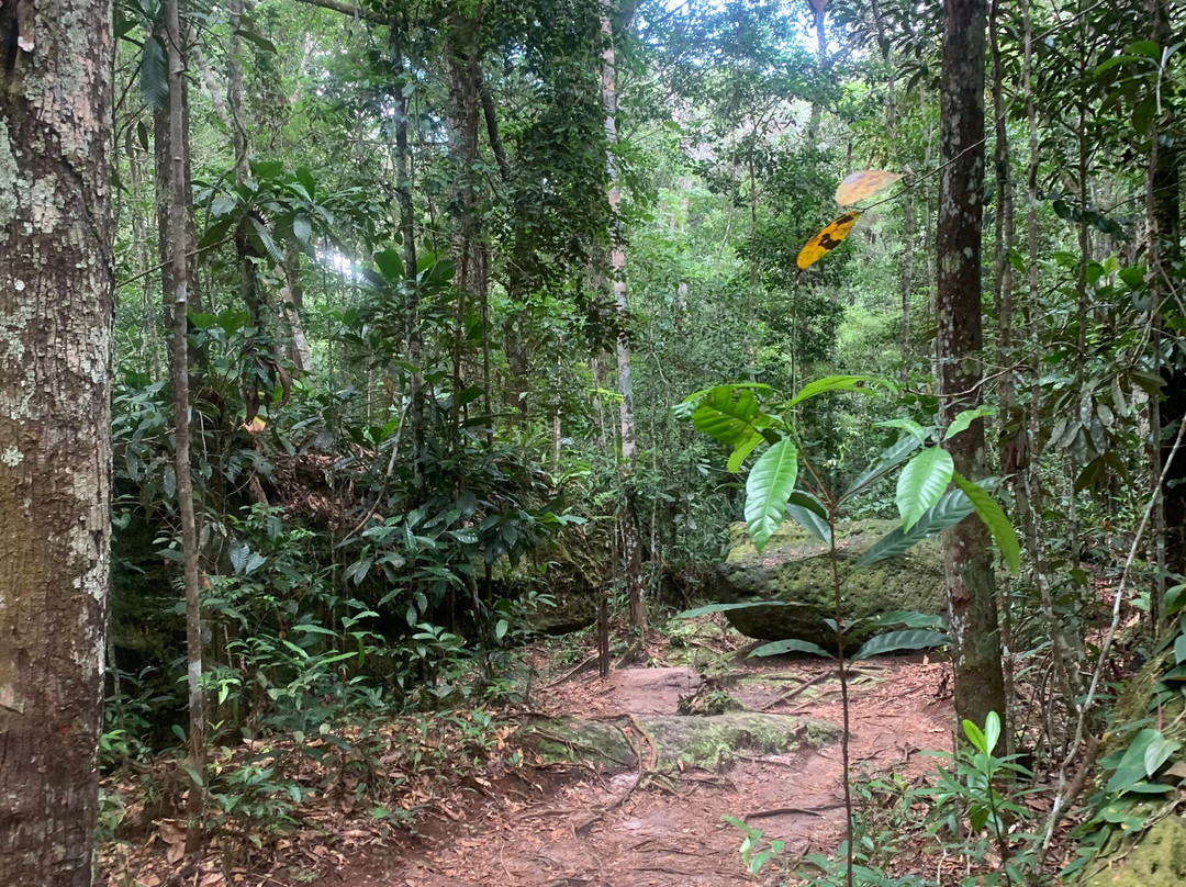 Cachoeira de Iracema-Presidente Figueiredo必去景点
