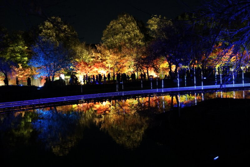 名花之乡-桑名市必去景点