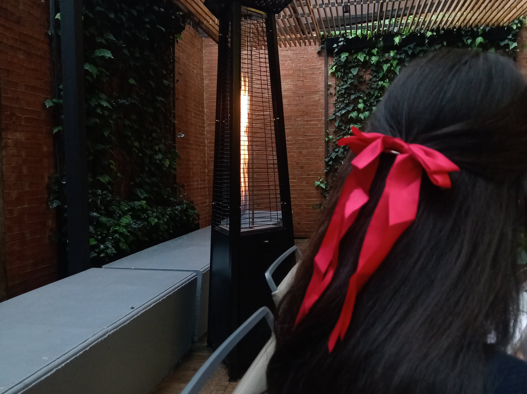 Nh Collection Bogotá Terra 100 Royal主图