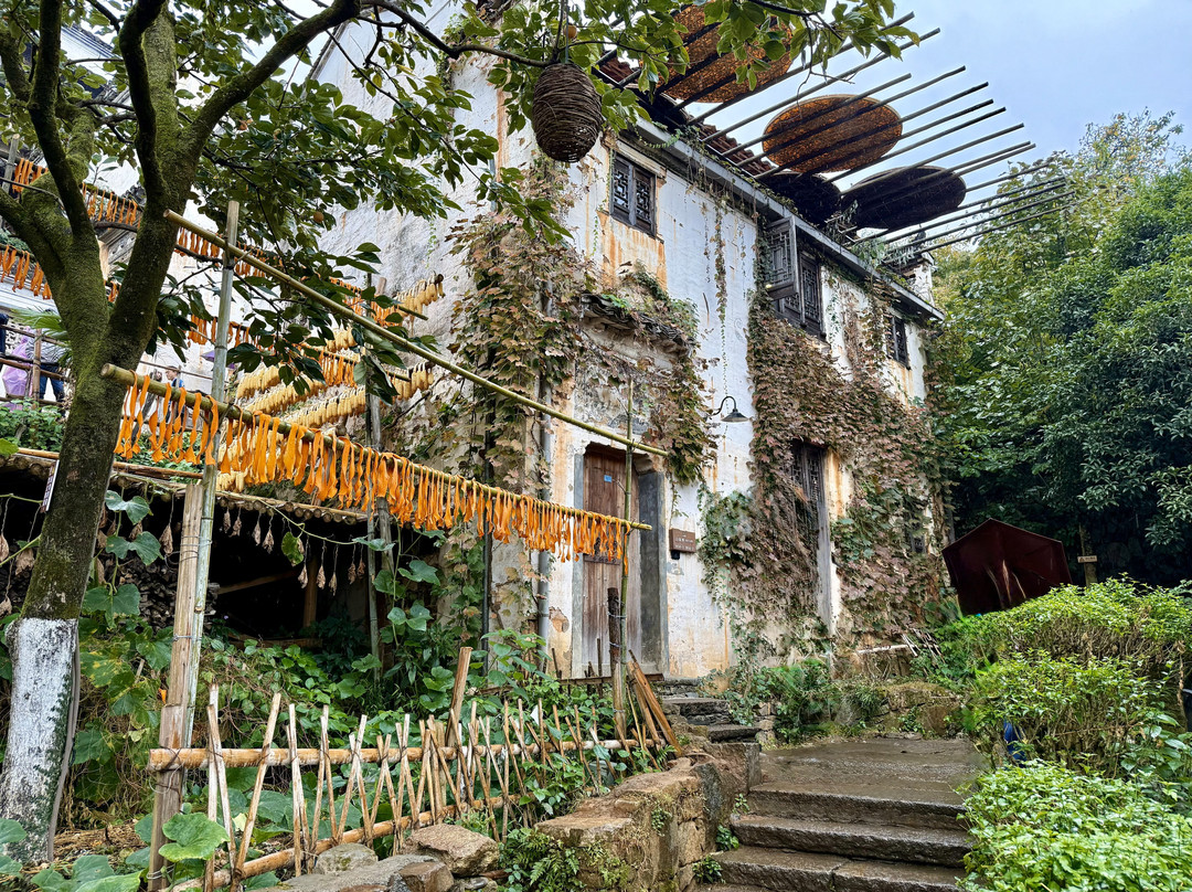 婺源篁岭景区-婺源县必去景点