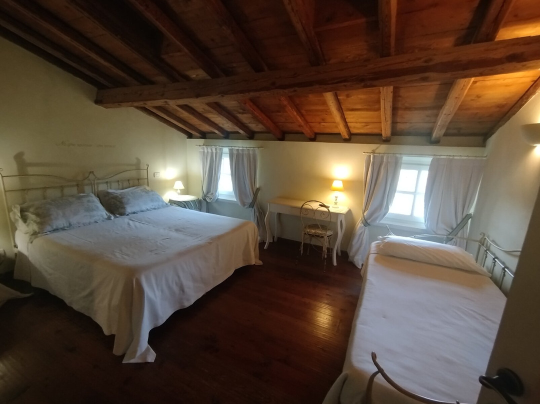 Agriturismo Casa Aurora主图