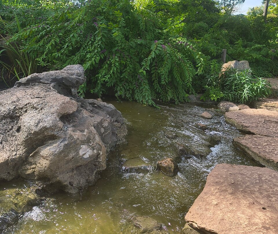 Jackson Park's Japanese Garden-芝加哥必去景点