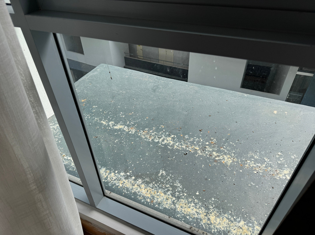 Trinidad Suites Puteri Harbour主图