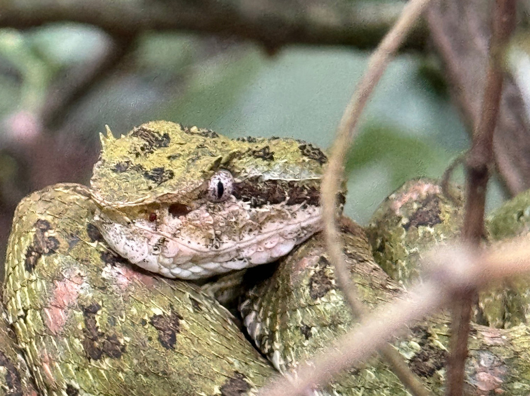 Tour Guanacaste-波特雷罗必去景点