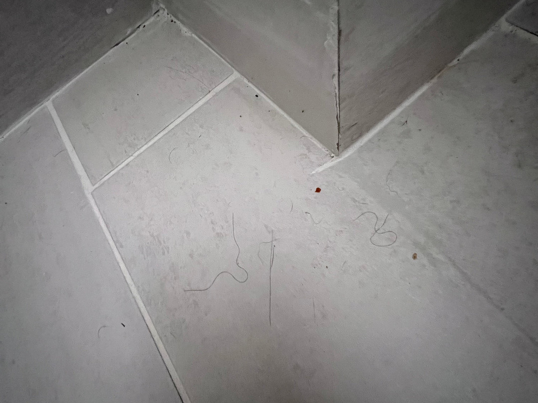 Country Inn & Suites By Carlson, Merrilville, IN主图