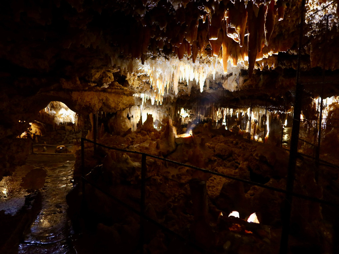 Grotte du Grand Roc-Les Eyzies-de-Tayac-Sireuil必去景点