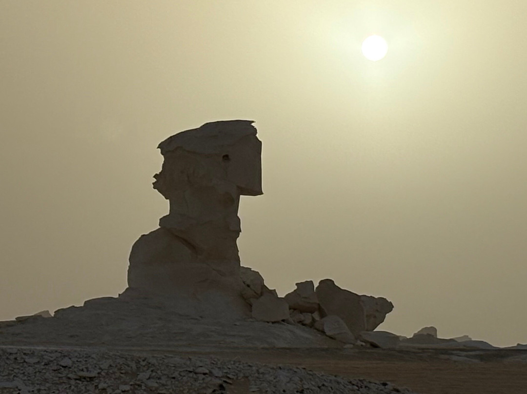 white desert travel-Bahariya Oasis必去景点