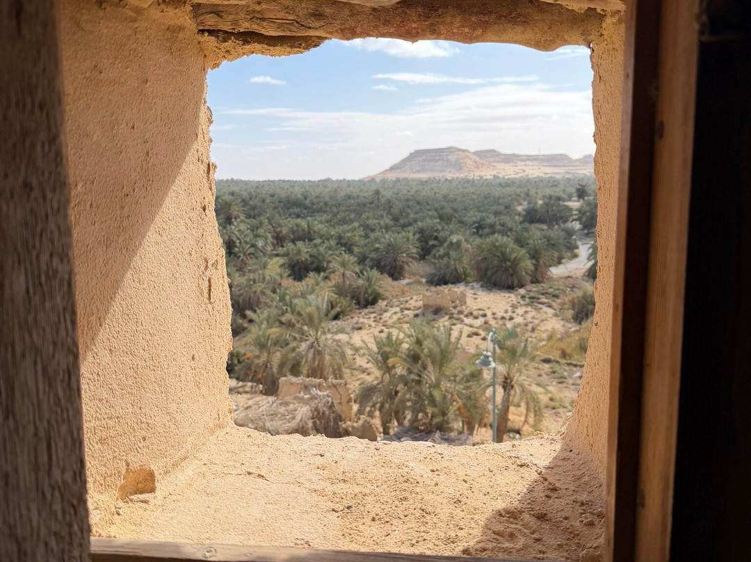 Amico Excursions-赫尔格达必去景点