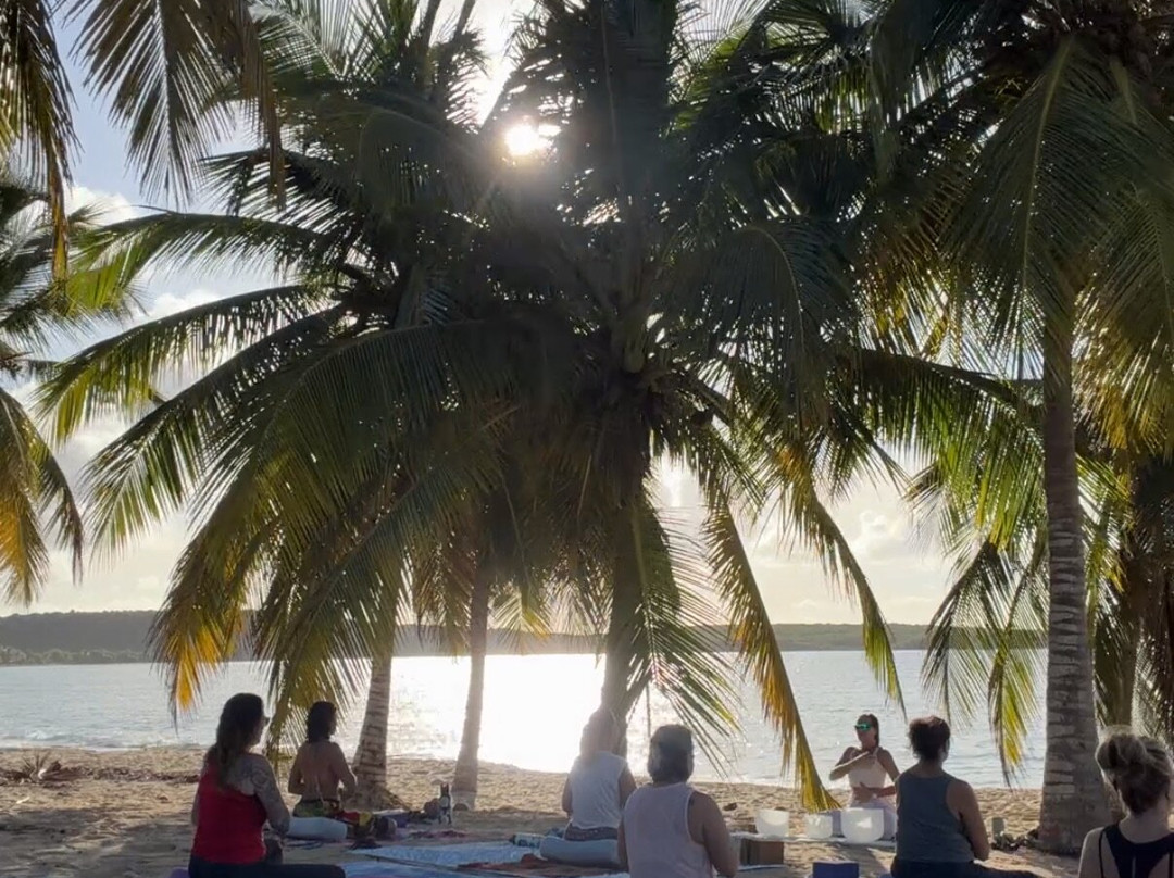 Vieques Wellness and Yoga-Vieques必去景点