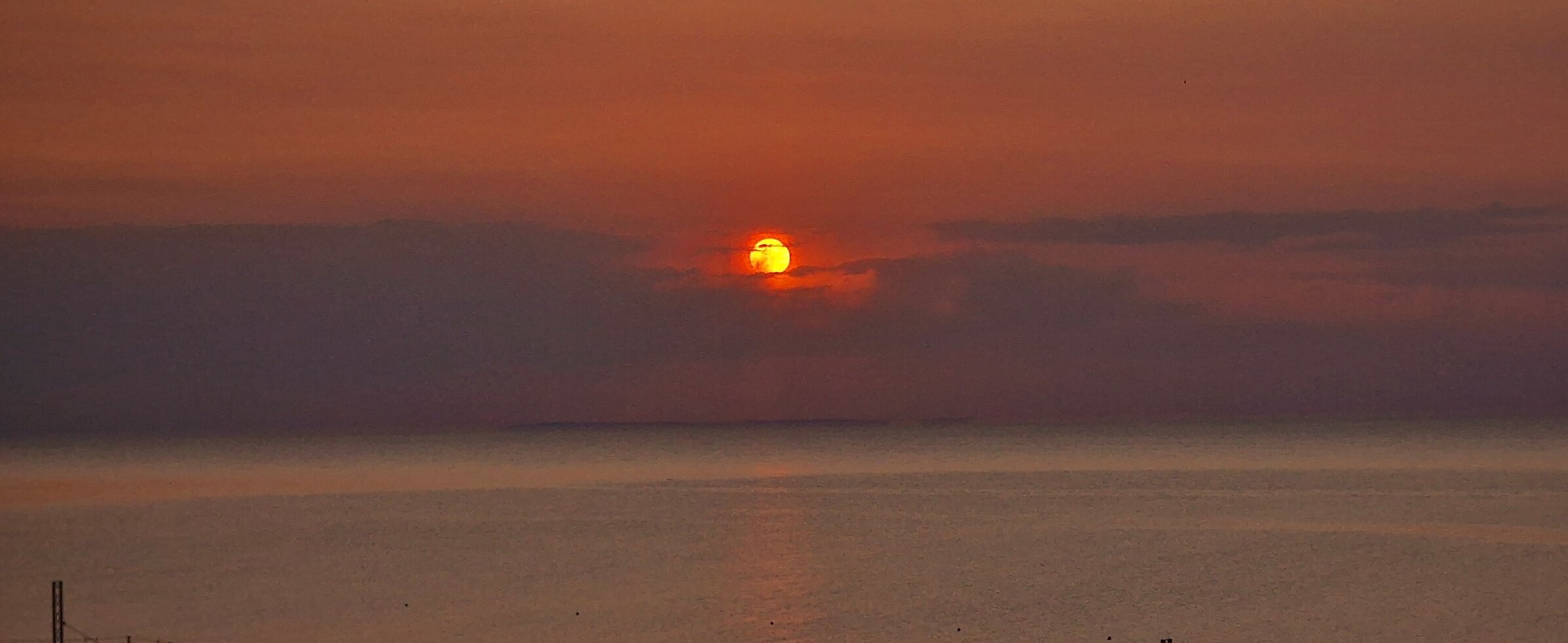 Hotel Orchidea Blu-官方