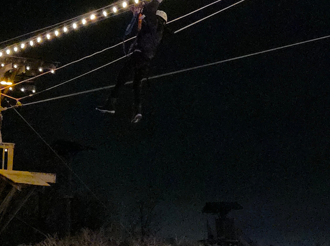 Screaming Raptor Zip Lines-Petersburg必去景点