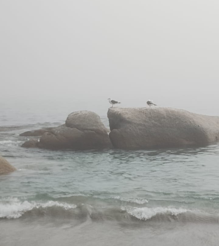 Stompneus Point Lighthouse-St. Helena Bay必去景点