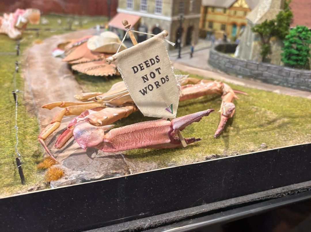 Crab Museum-Margate必去景点