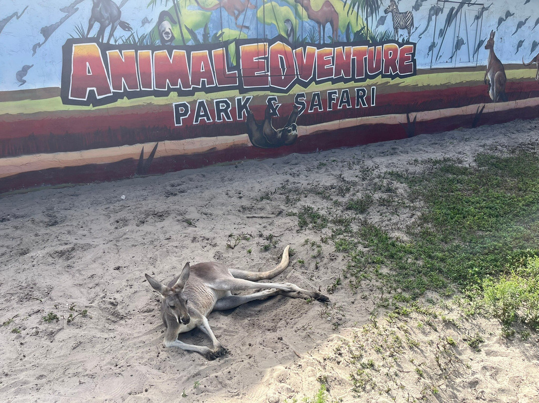 Animal EDventure Park & Safari-博因顿海滩必去景点