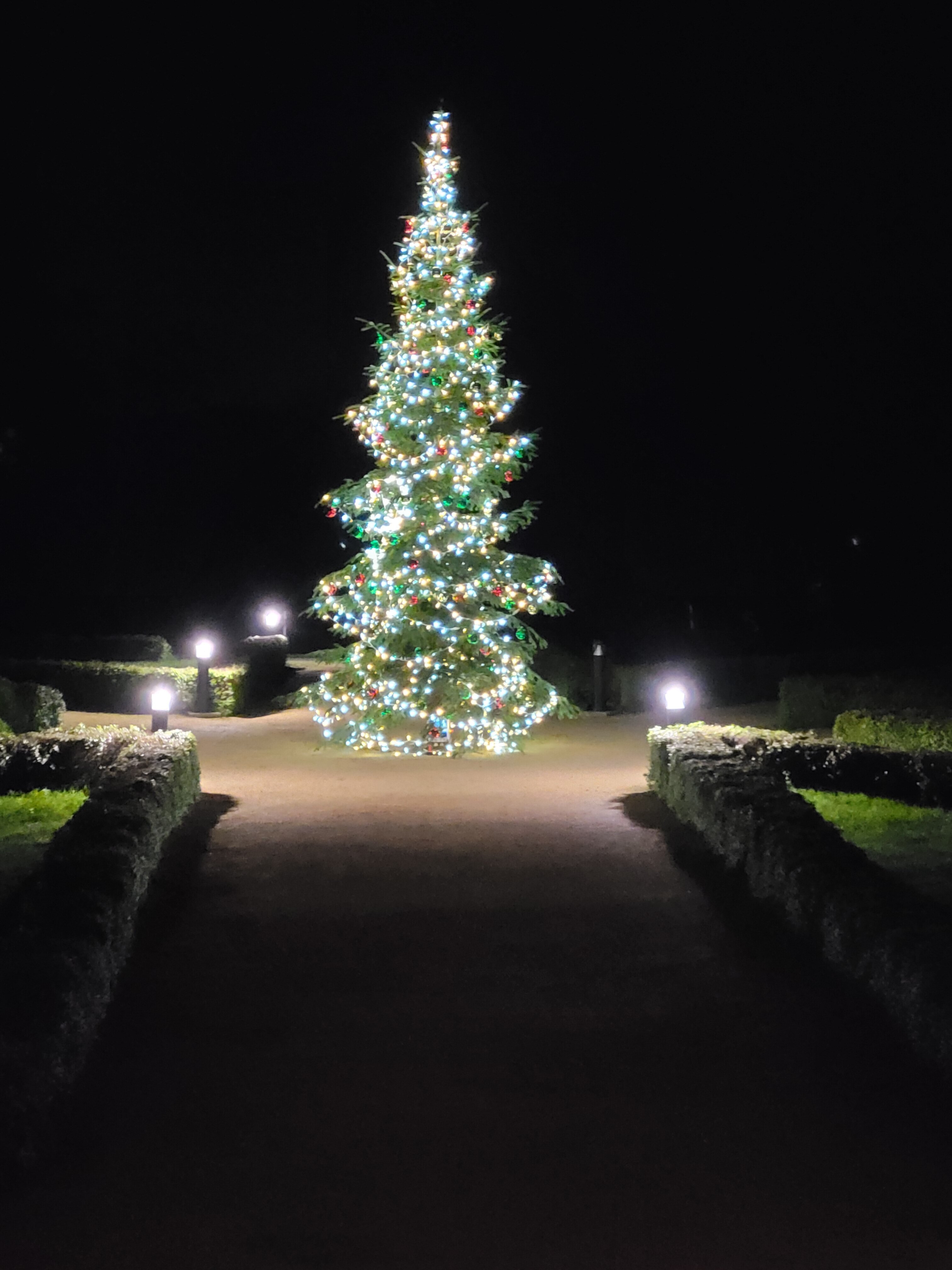 阿巴耶维勒内弗酒店-官方
