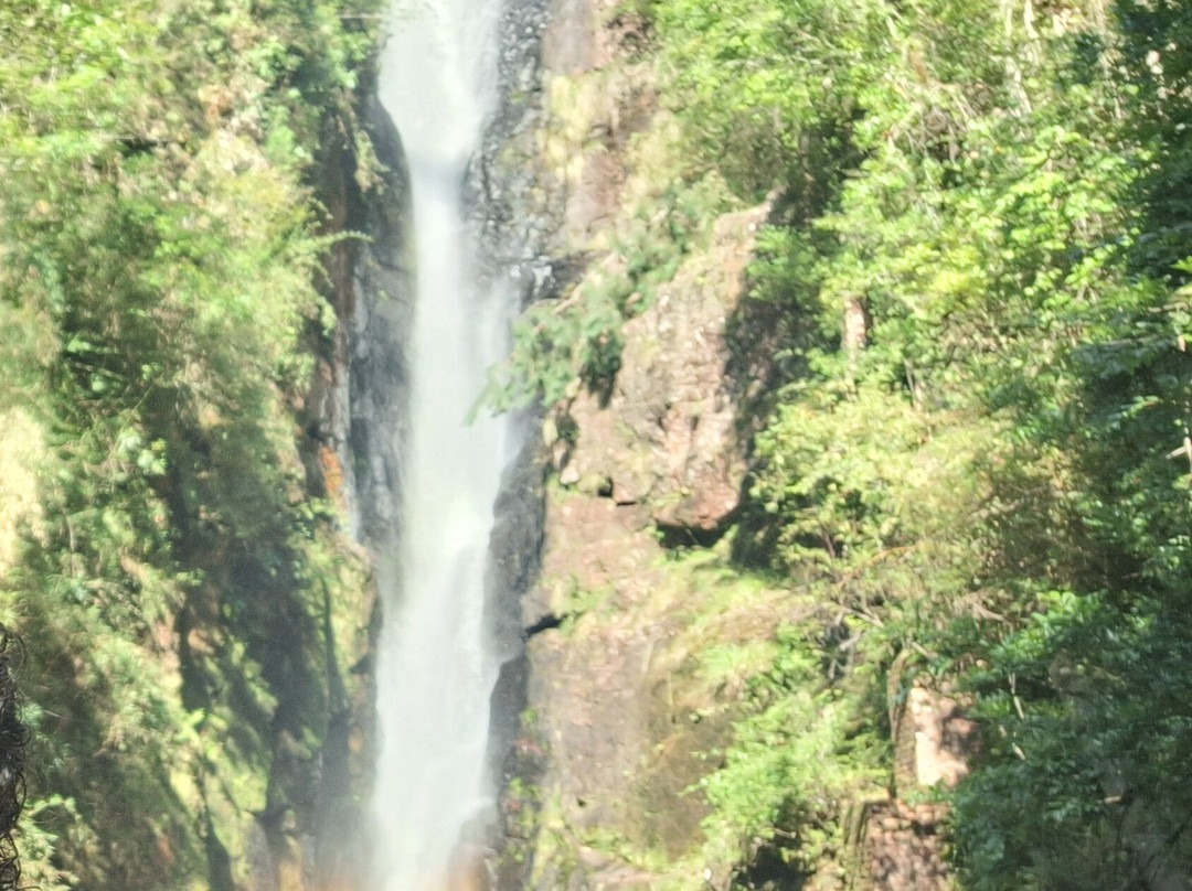 Cascata Paraiso-Campo Alegre必去景点