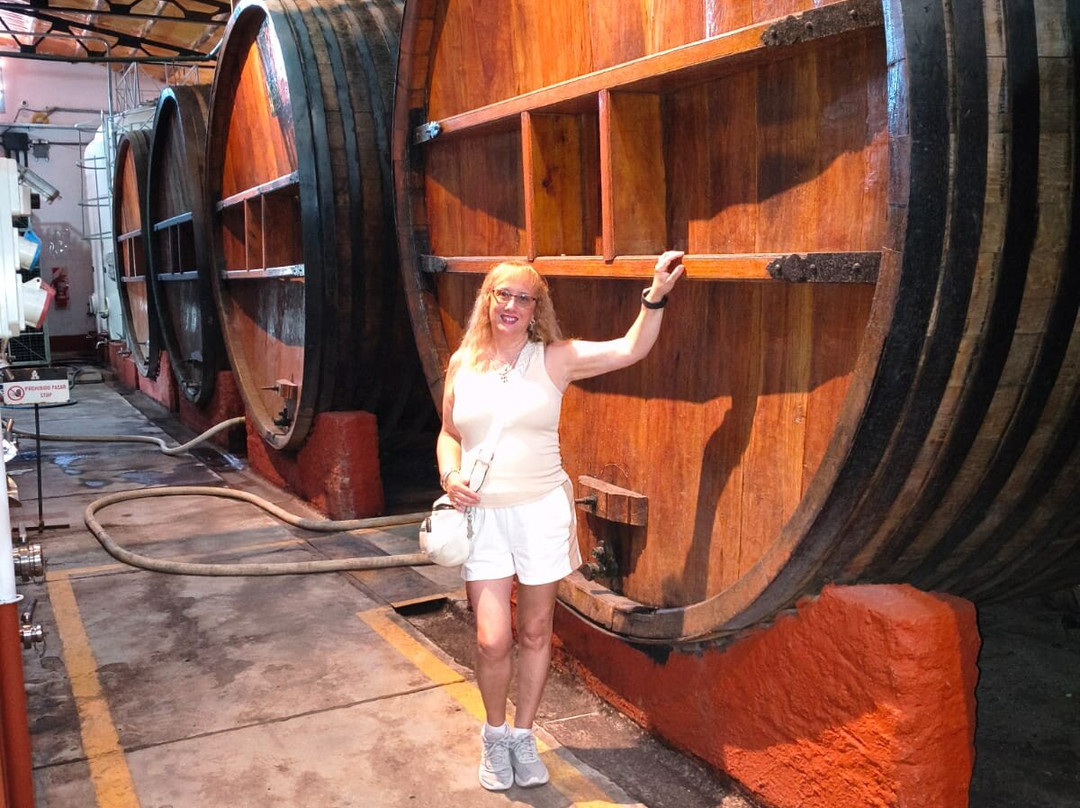 Bodega Alfredo Roca-圣拉斐尔必去景点
