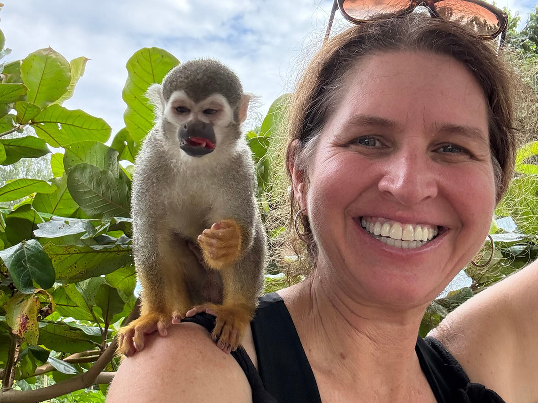 Monkey Home Puerto Plata-普拉塔港必去景点